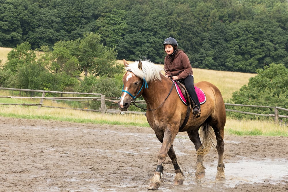 Study of Children Riding Horses Suggests Stress is Helpful in Improving Behavior