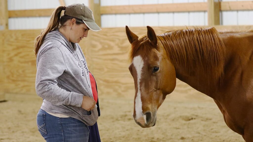 Six Signs Your Horse May Be Dissociating or Submitting Rather Than Choosing to Cooperate