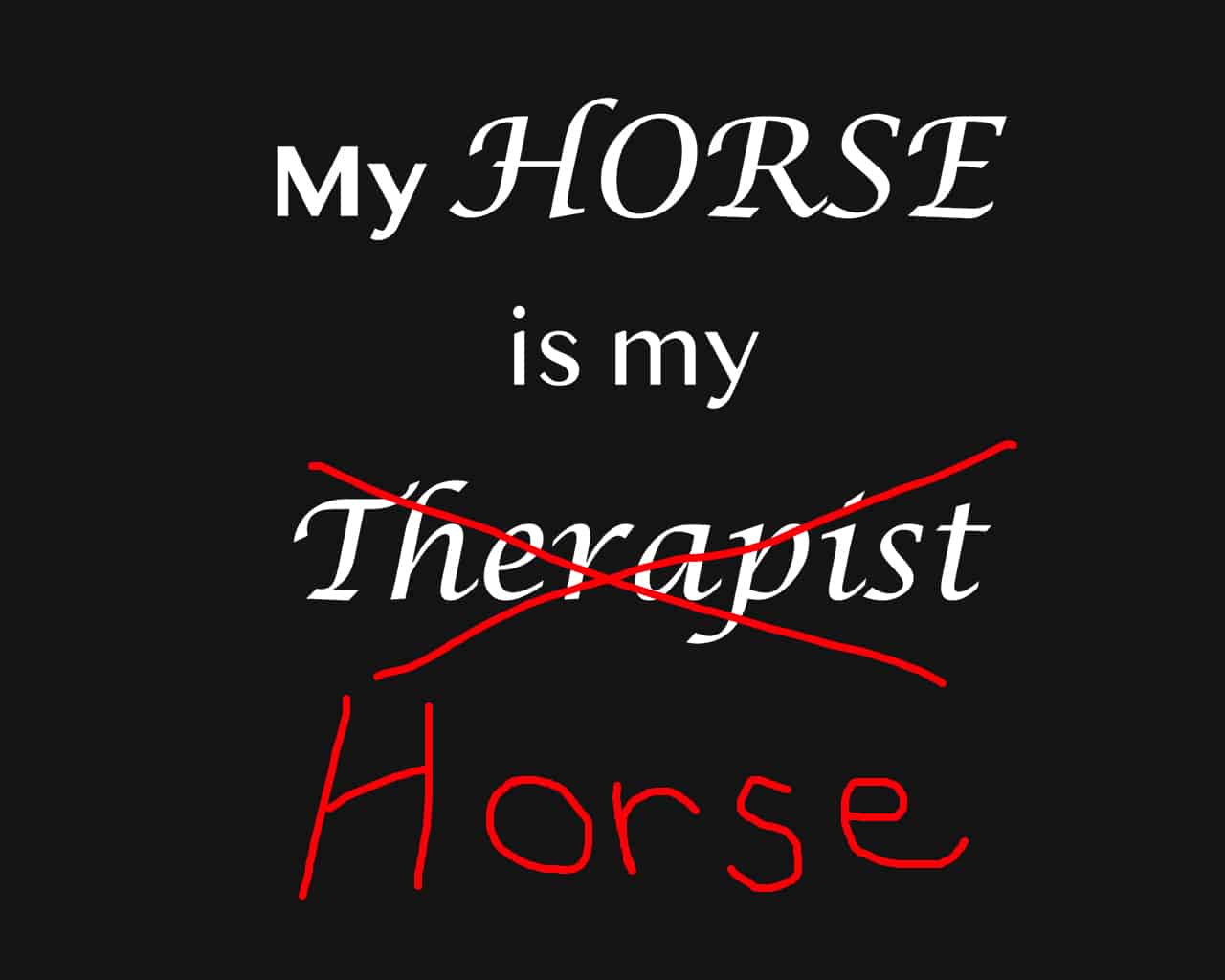 My Horse is NOT My Therapist - Natural Lifemanship