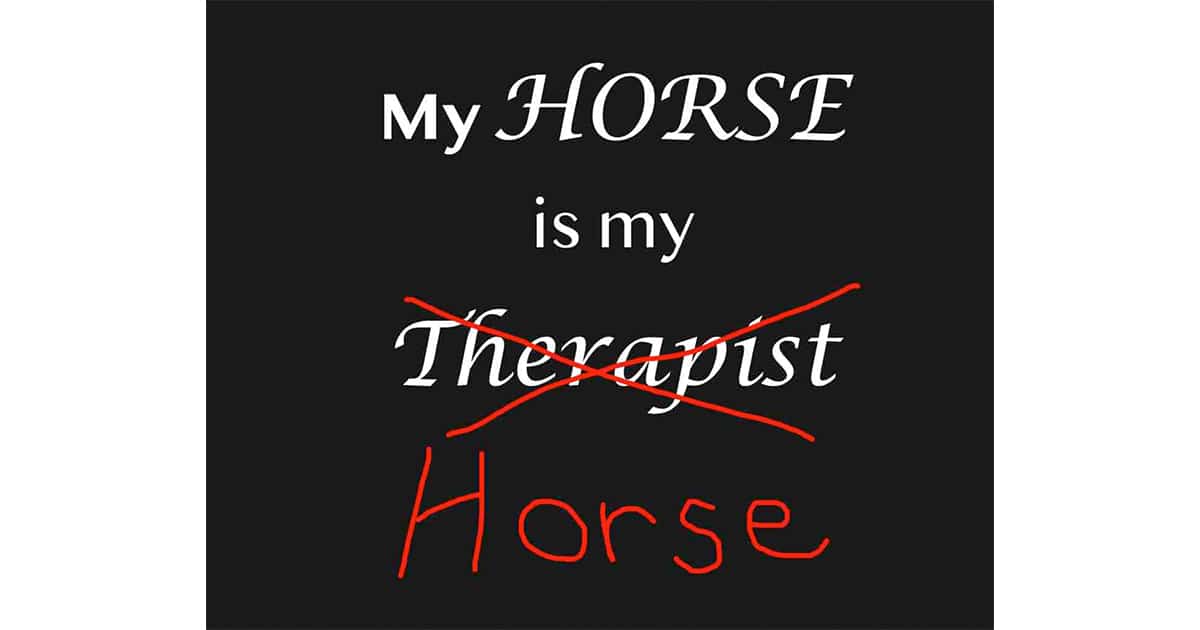 My Horse Is NOT My Therapist - Natural Lifemanship