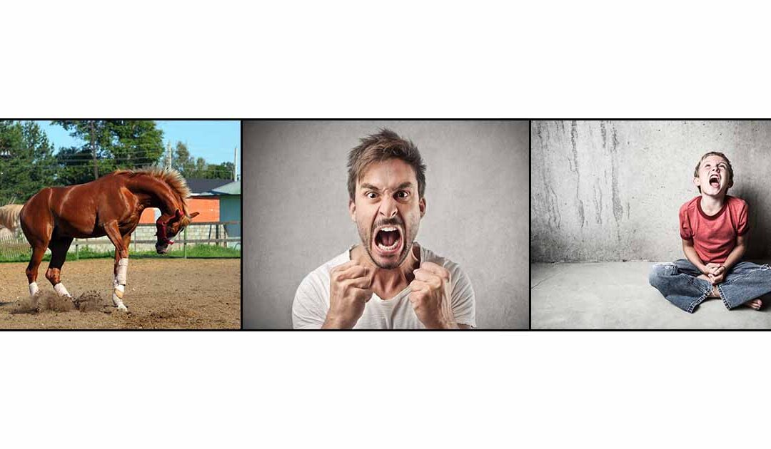 3 images of different scenarios for a meltdown or tantrum