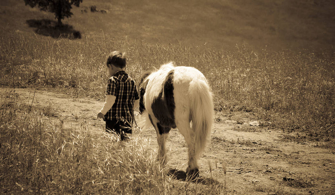 old image of kid with horse