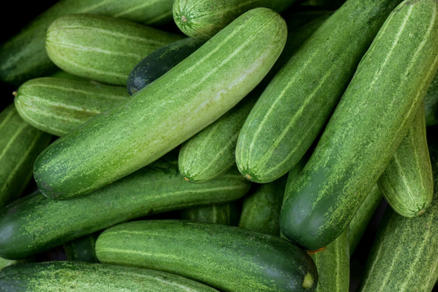Cucumbers and Toilet Paper in an Age of Anxiety