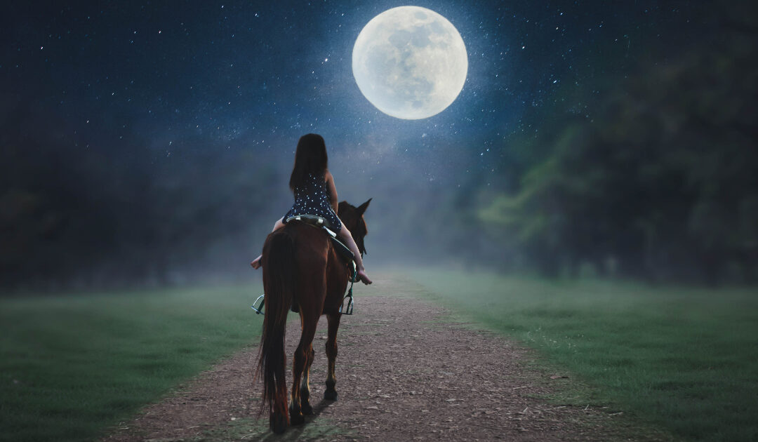 kid riding horse under the moonlight