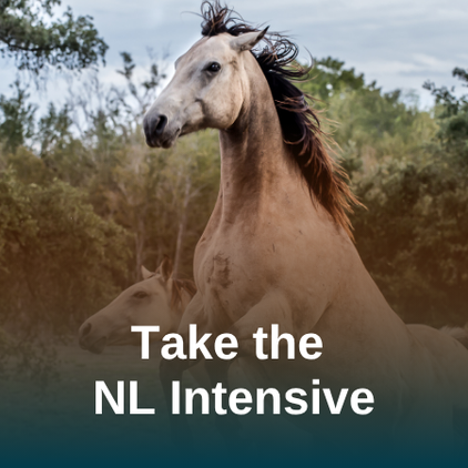 Become an NL member
