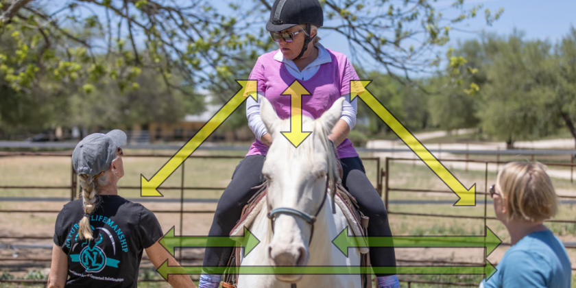 Introducing the Jobe Treatment Ratio for Equine Assisted Services