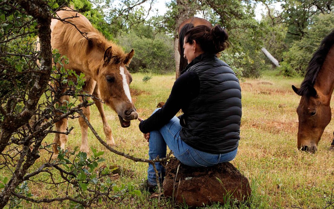Integrating Horses Into Healing