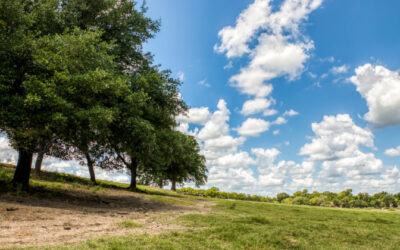 Sacred Landscapes: The Expanse That Can Be Seen