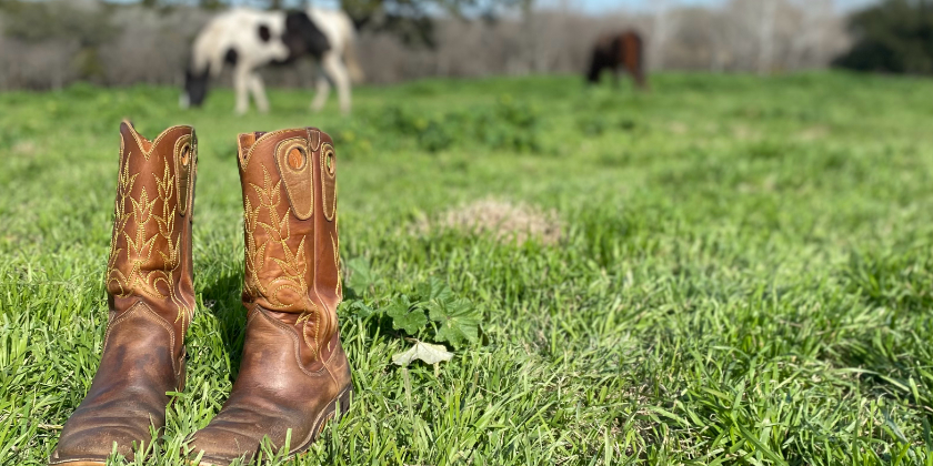 These Boots are Made for Workin’ - Natural Lifemanship