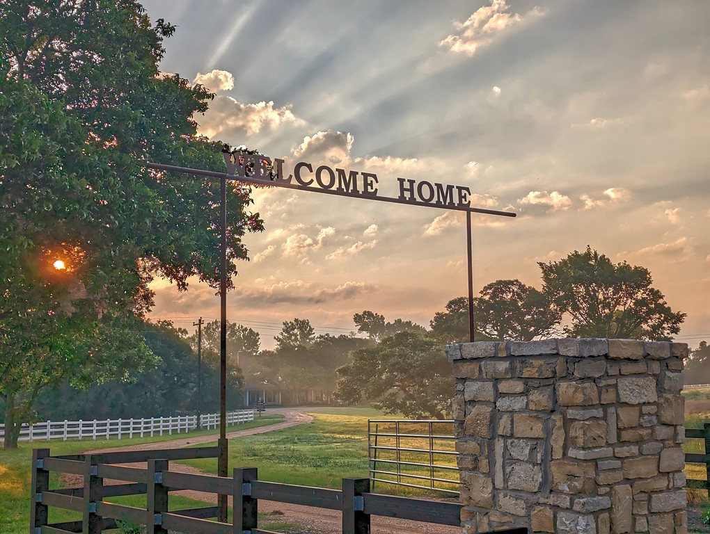 Back Gate 6-14-24E-SM-XL Horsemanship and Horse Care
