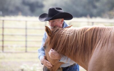 Confessions of a Horse Kisser