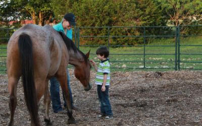 NL for Young Children & Parents: Growing Connection, Healing, and Hope