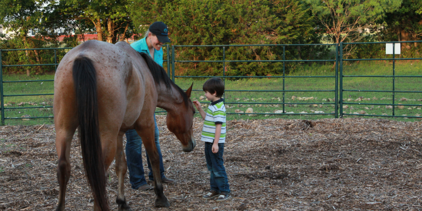 NL for Young Children & Parents: Growing Connection, Healing, and Hope