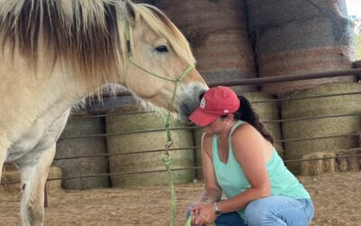 The Often Overlooked Work of Building a Business: A Conversation with Allison Brewton