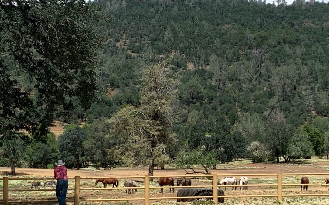 Why Getting Certified (and Staying Certified) Matters