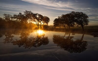 Sample Blog by Ryan Dev