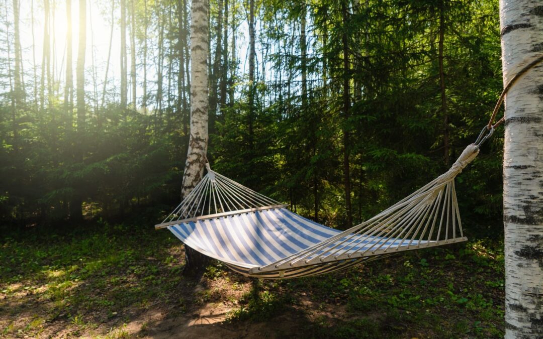 Settling Into the Hammock of Not Knowing