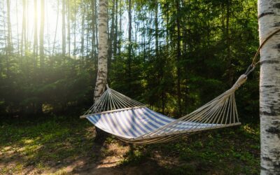 Settling Into the Hammock of Not Knowing